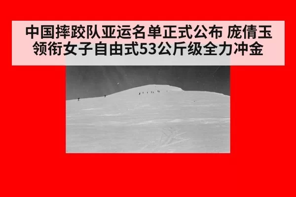 中国摔跤队亚运名单正式公布 庞倩玉领衔女子自由式53公斤级全力冲金